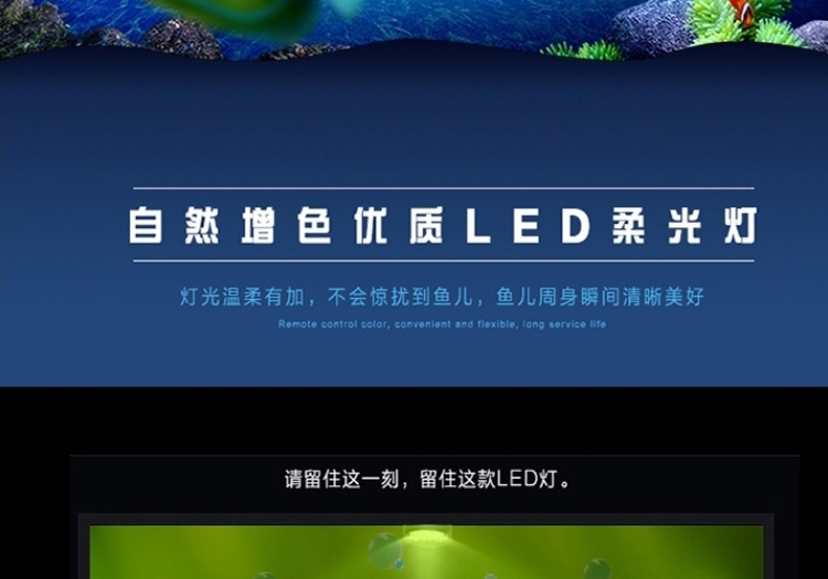 海亿 龙鱼灯