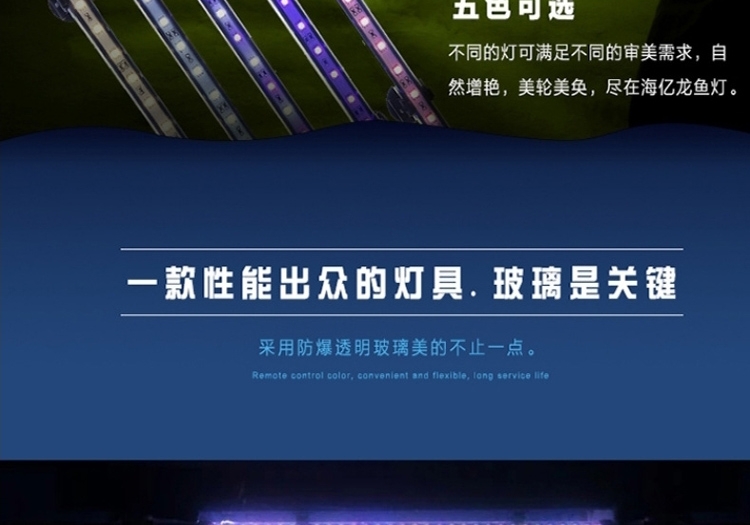 海亿 龙鱼灯