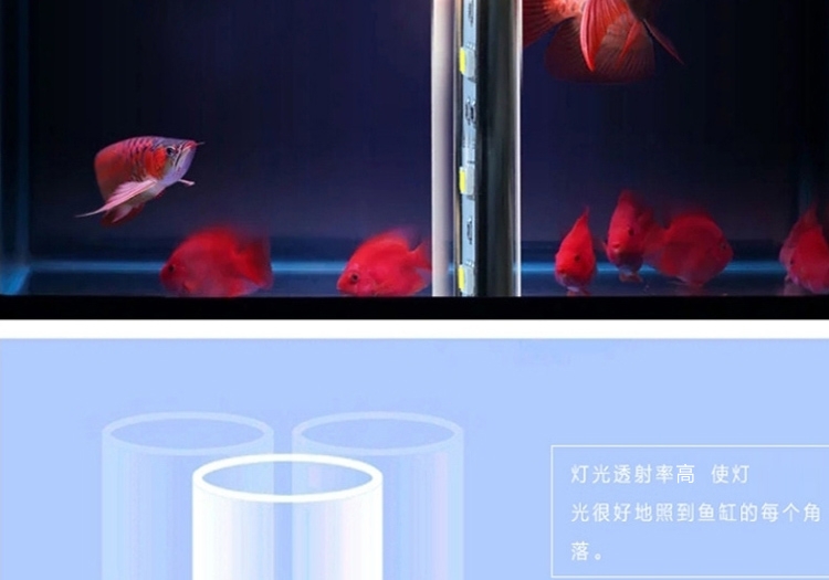 海亿 龙鱼灯