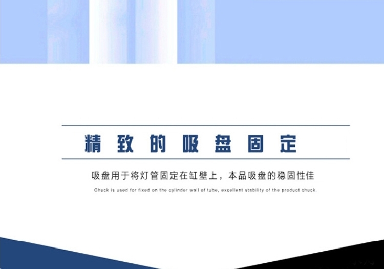海亿 龙鱼灯