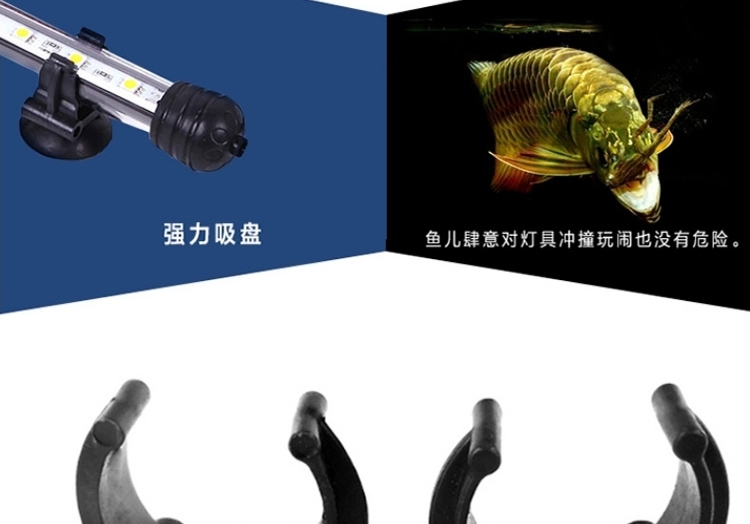 海亿 龙鱼灯