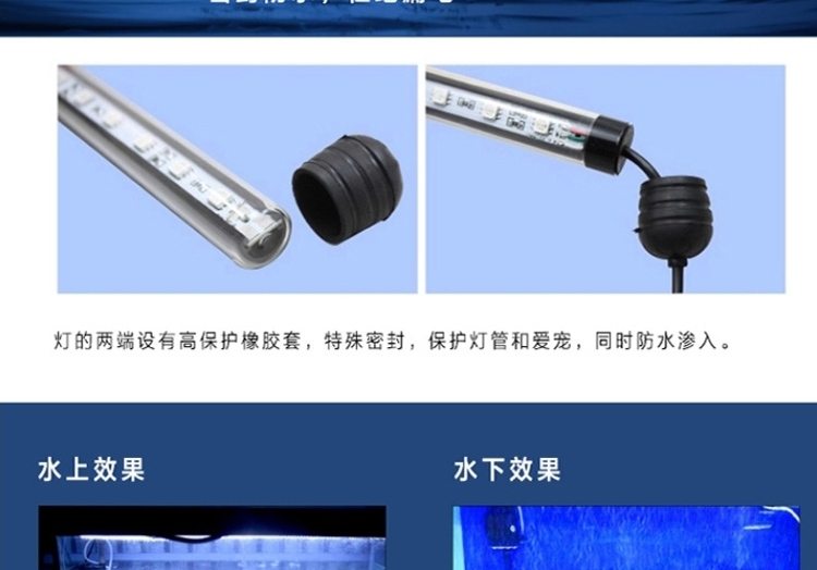 海亿 龙鱼灯