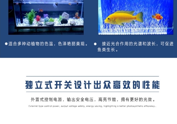 海亿 龙鱼灯