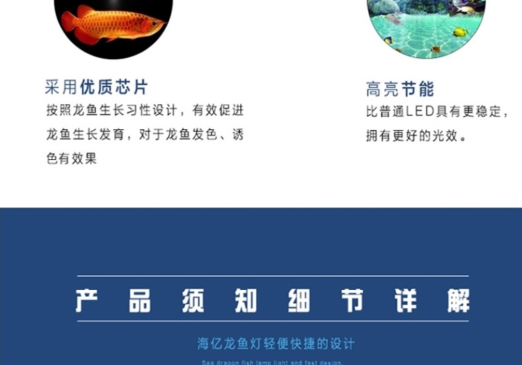 海亿 龙鱼灯