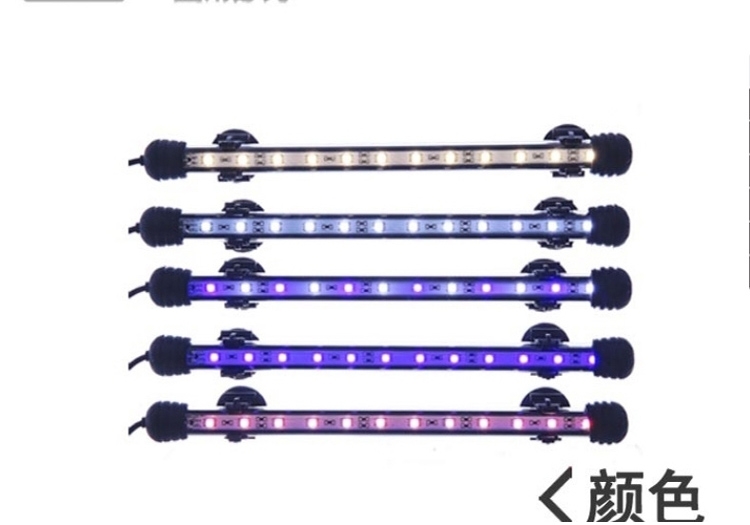 海亿 龙鱼灯