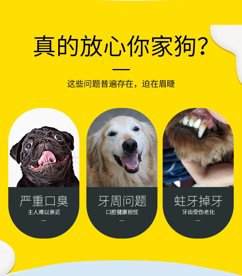 特瑞仕Trixie 狗用清洁口腔薄荷牙膏套装 100g