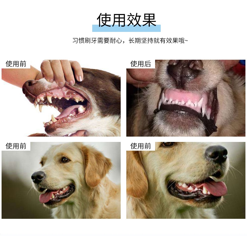 特瑞仕Trixie 狗用清洁口腔薄荷牙膏套装 100g