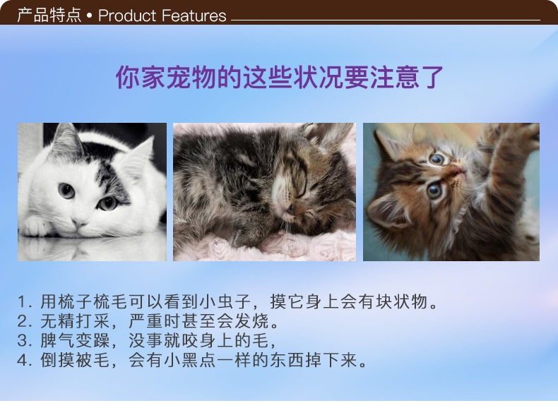 猫蚤圈什么原理_猫蚤咬人后什么症状