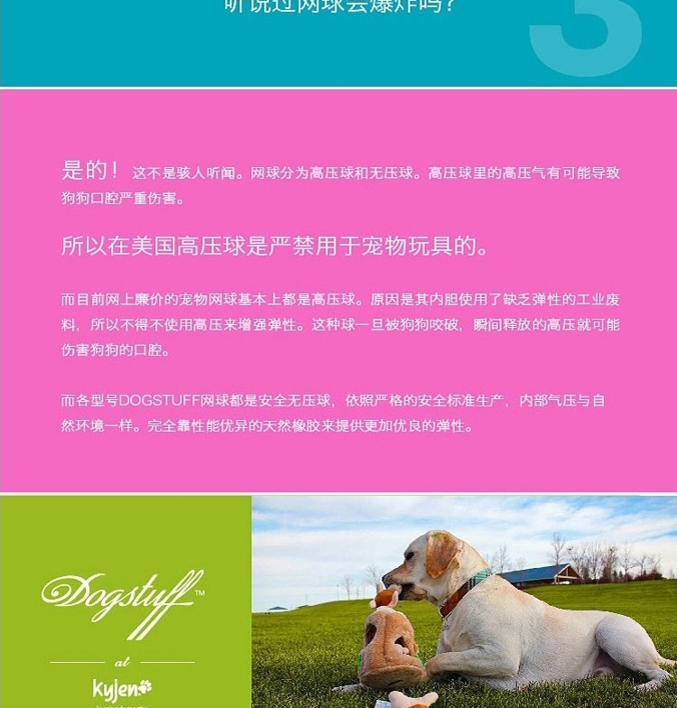 酷极Kyjen 大红鹰dhy娱乐发声网球三只装 大红鹰dhy娱乐玩具