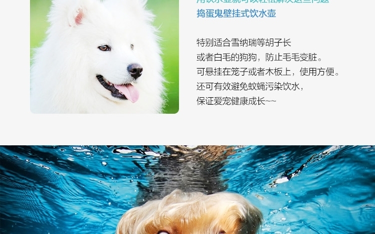 捣蛋鬼 壁挂式宠物弹珠饮水壶 500ml水容量