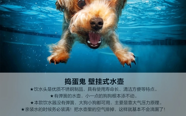 捣蛋鬼 壁挂式宠物弹珠饮水壶 500ml水容量