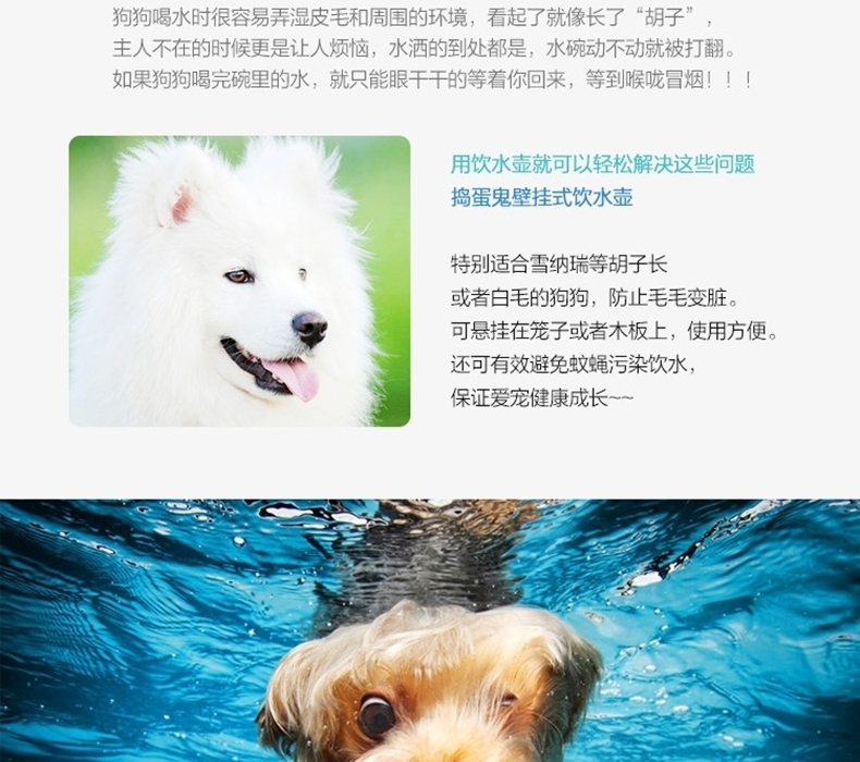 捣蛋鬼 壁挂式宠物弹珠饮水壶 500ml水容量