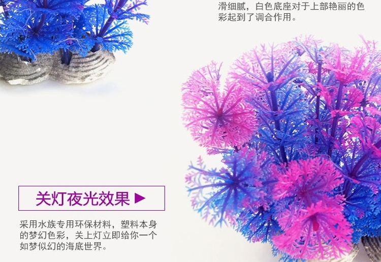 好看的鱼缸造景植物 shopimgFile1461307471.jpg