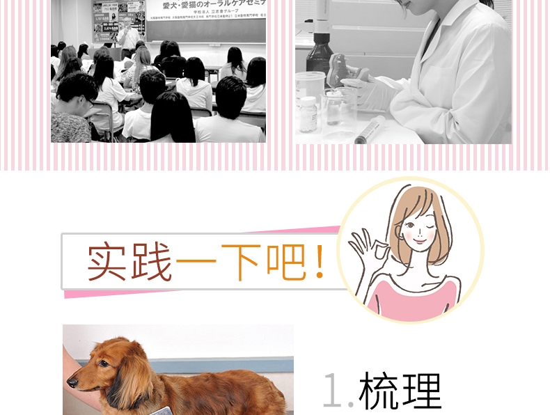 日本艾宠Lion  犬用每日洗二合一香波 柔和花香型 550ml 