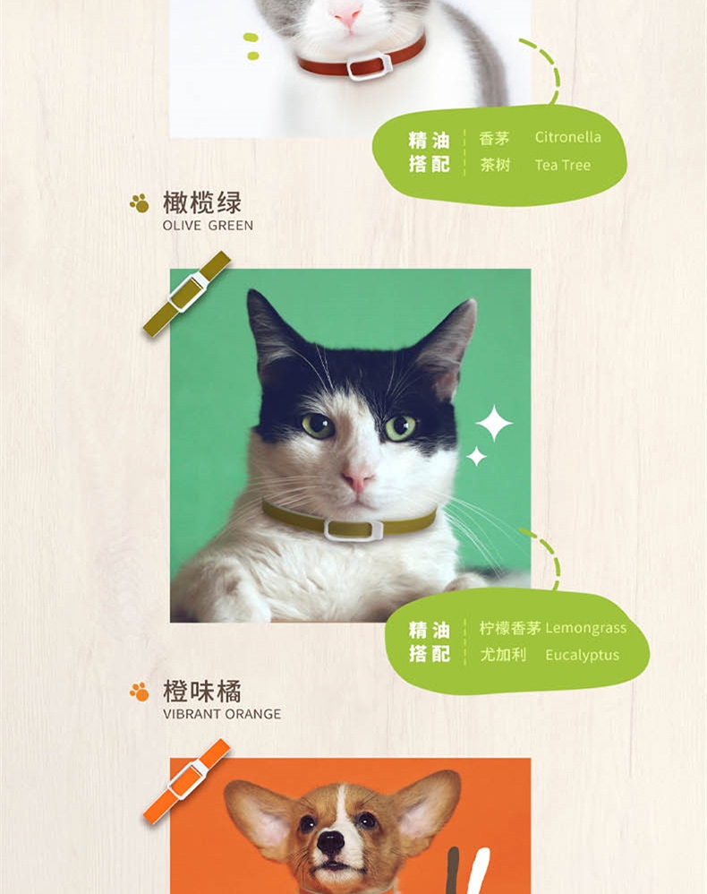 shopimgFile1588664178.jpg