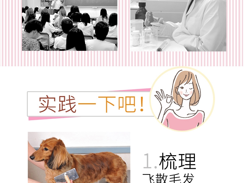 日本艾宠Lion 护肤二合一香波替换装 自然草本香型 犬用  400ml 婴儿般呵护