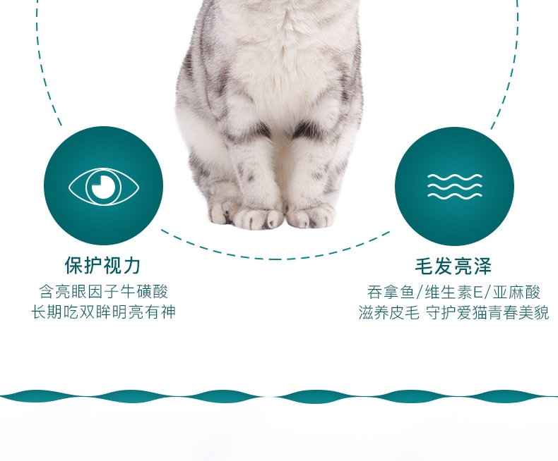 怡亲Yoken 吞拿鱼牛肉配方猫罐头 80g