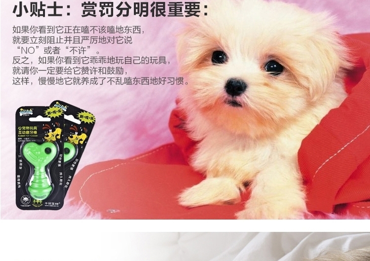 shopimgFile1477275951.jpg