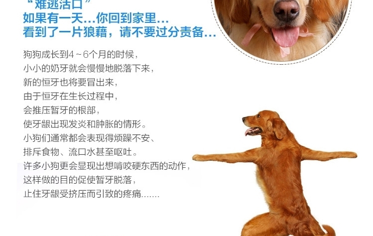 千羽 宠物晶莹磨牙洁齿骨大红鹰dhy娱乐玩具