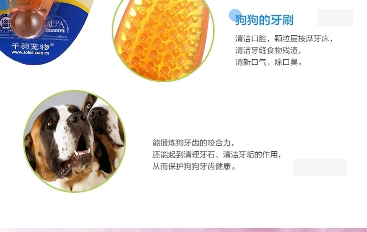 千羽 宠物晶莹磨牙洁齿骨大红鹰dhy娱乐玩具
