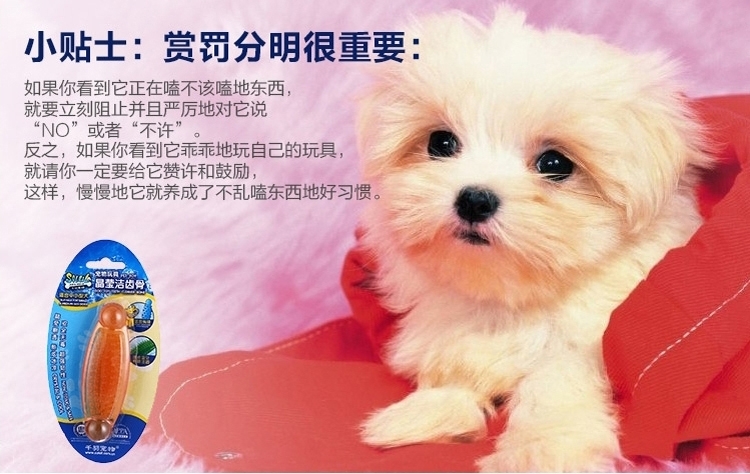 千羽 宠物晶莹磨牙洁齿骨大红鹰dhy娱乐玩具