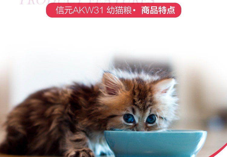2个月幼猫猫粮推荐排行榜 shopimgFile1455790574.jpg