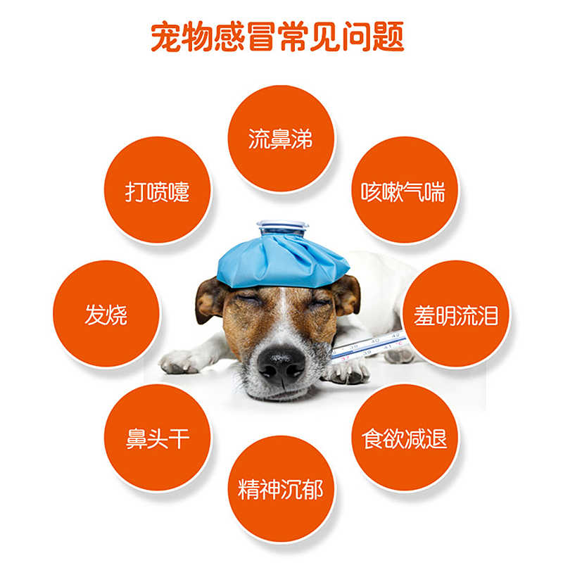 小宠ehd 猫狗通用感冒清5g*7包装 有效治疗感冒流感