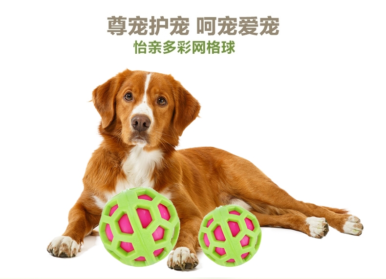shopimgFile1497666710.jpg