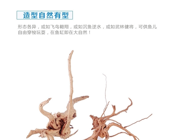shopimgFile1465209096.jpg