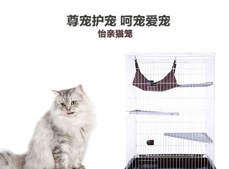 shopimgFile1497767240.jpg
