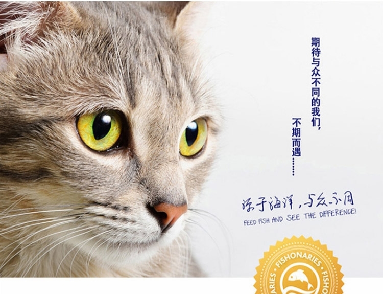 海洋之星2.0獠犬多少钱 shopimgFile1463041937.jpg
