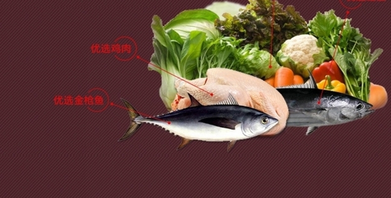shopimgFile1514195543.jpg
