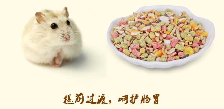 金丝熊仓鼠粮 shopimgFile1479109978.jpg