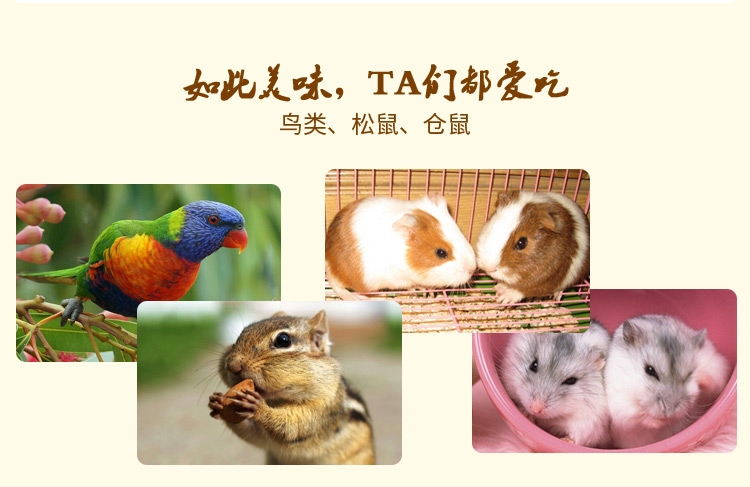 金丝熊仓鼠粮 shopimgFile1479114329.jpg