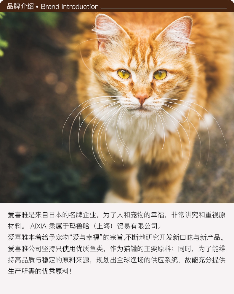 shopimgFile1494576435.jpg