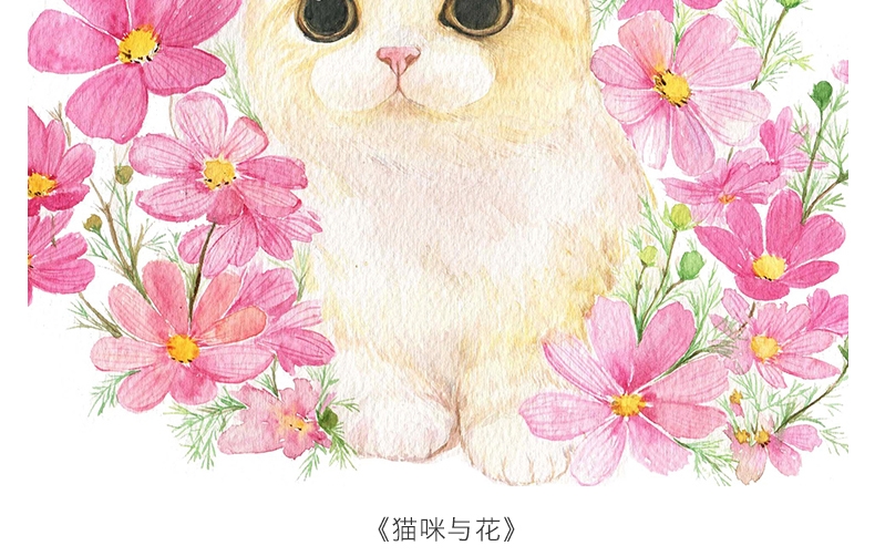 shopimgFile1498554291.jpg
