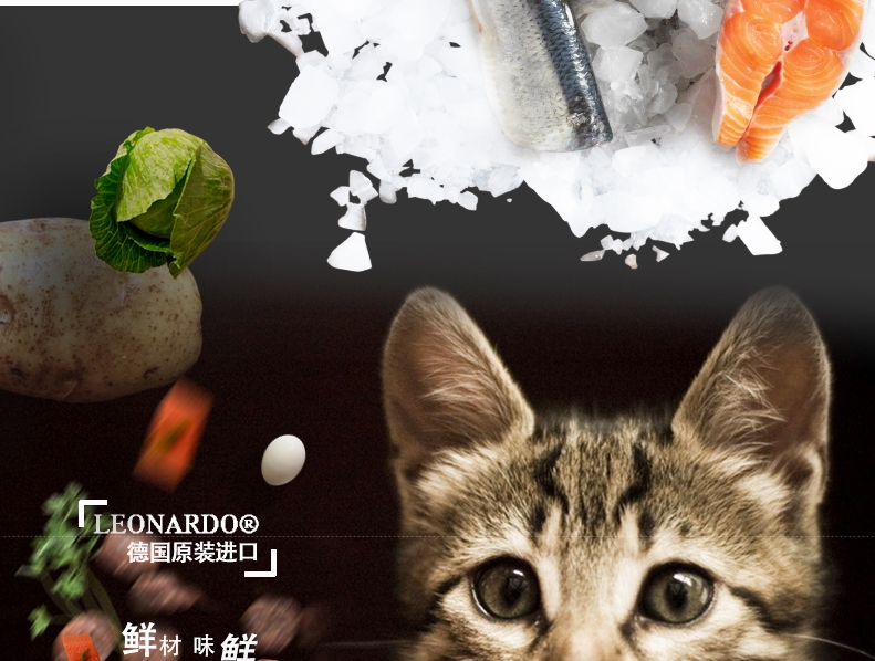 德国leonardo 莱昂纳多无谷三文鱼健康体态配方成猫天然粮7.5KG