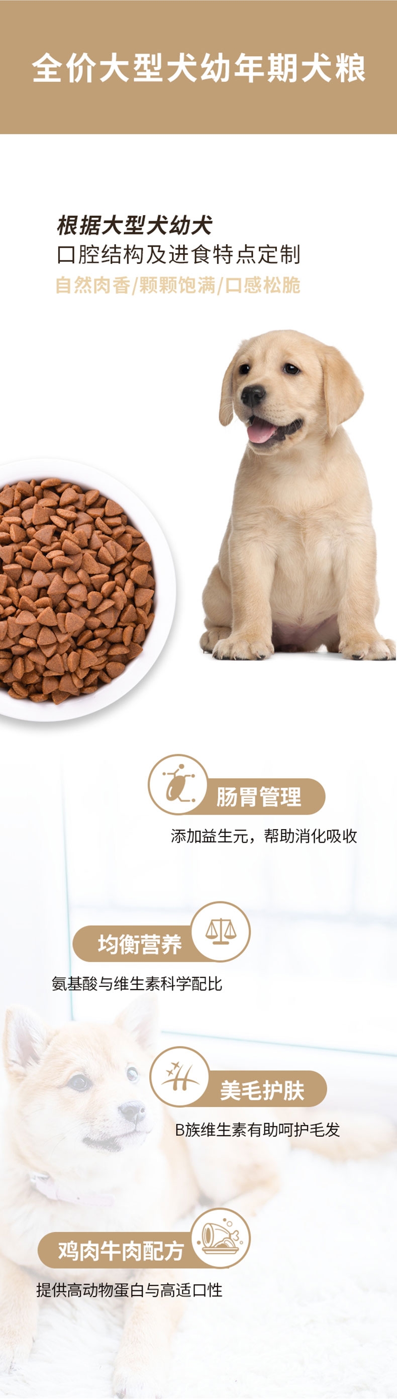 醇粹 金标大型犬幼犬粮 15kg 60%肉含量