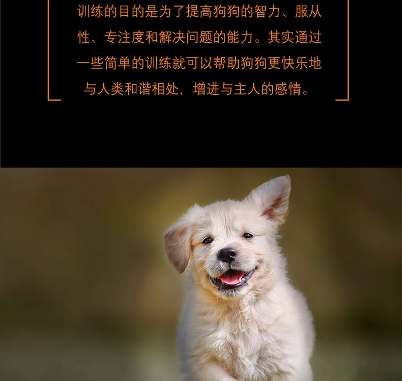 shopimgFile1576827657.jpg