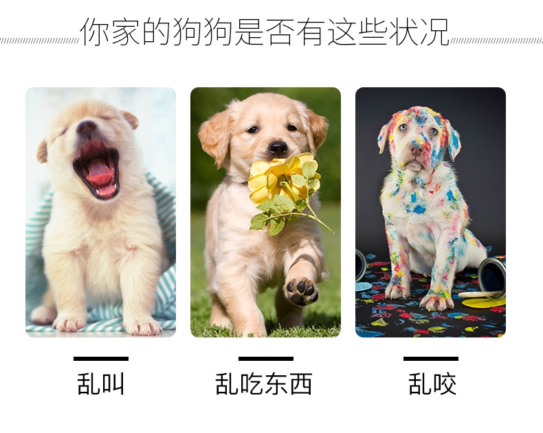 台湾TARKY 透气舒适塑料狗口罩 大小可调节 防止异食
