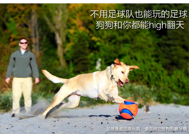 Petmate Chuckit!犬用户外足球