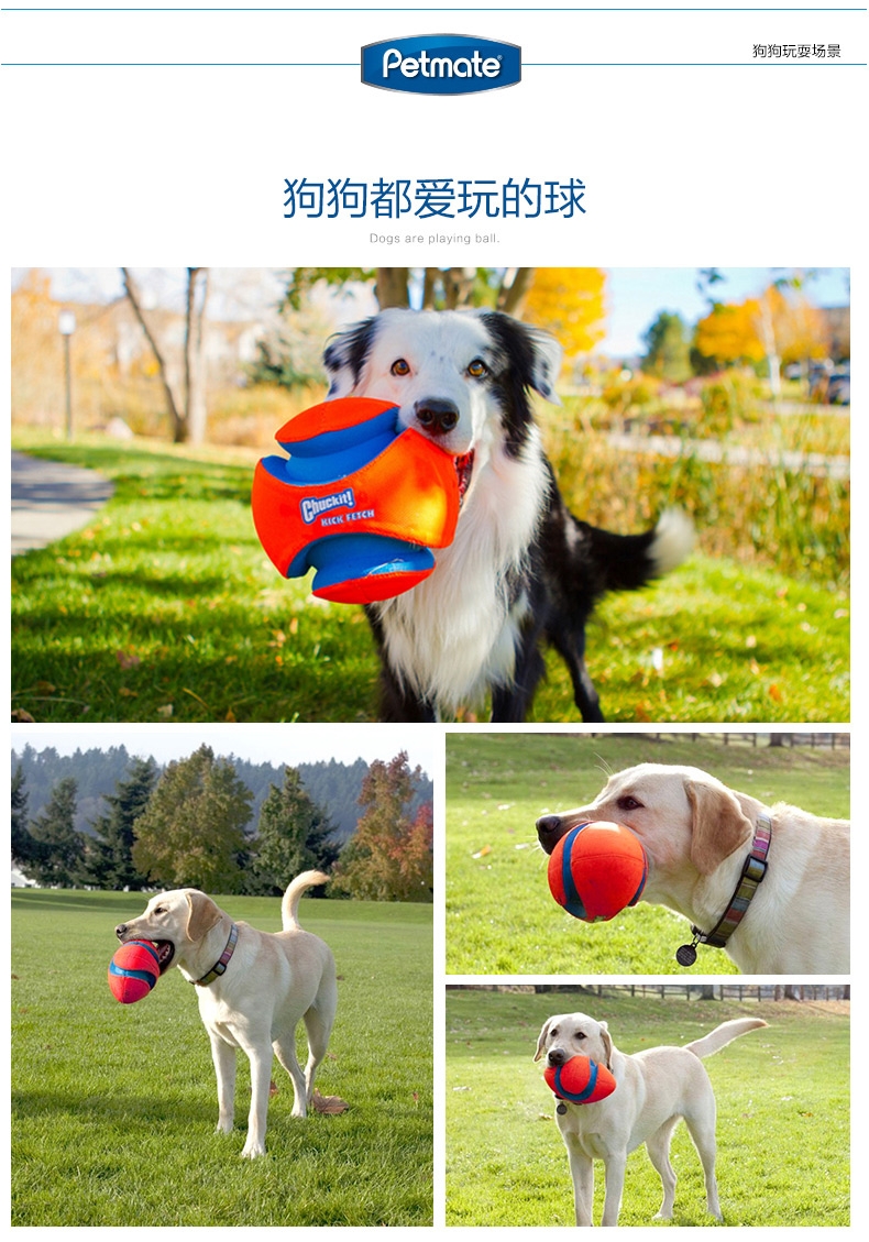 Petmate Chuckit!犬用户外足球