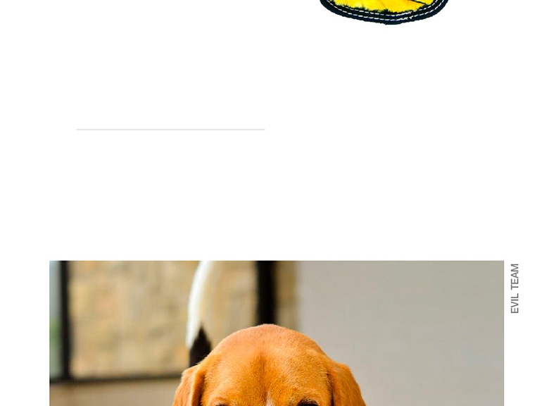 shopimgFile1527668079.jpg