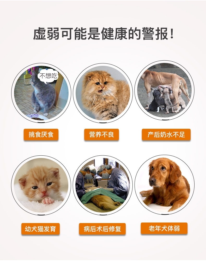红狗RedDog 犬猫通用综合营养膏 120g 多效补充