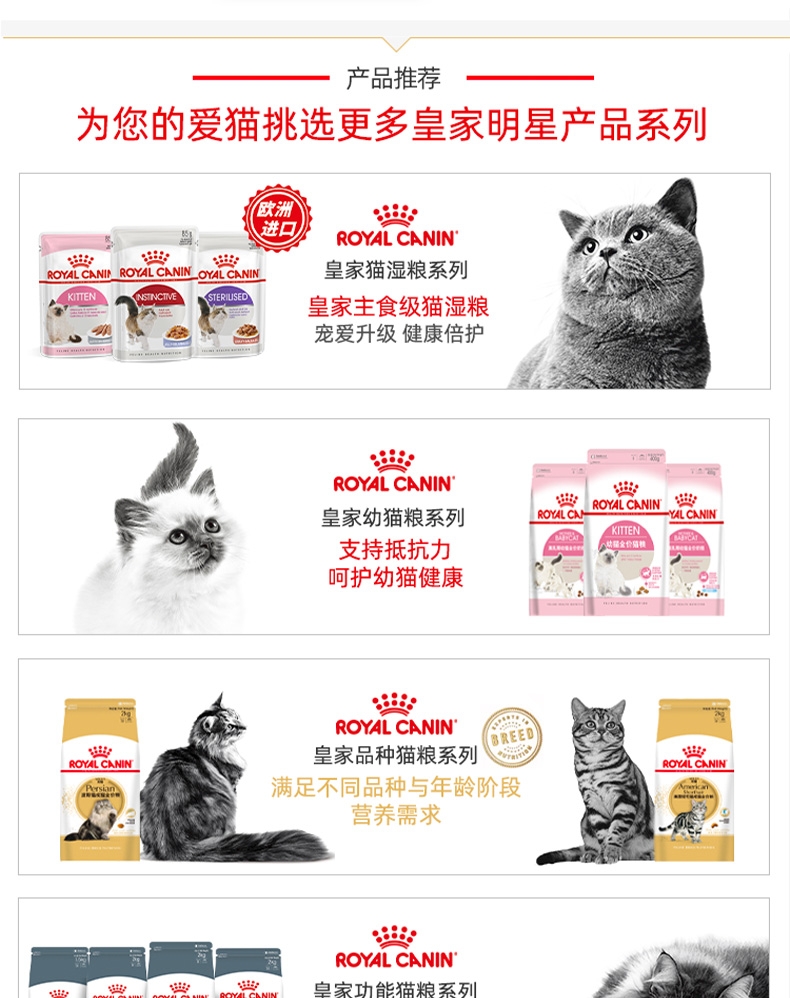 皇家联合多可特套装-布偶成猫-预售7月发货