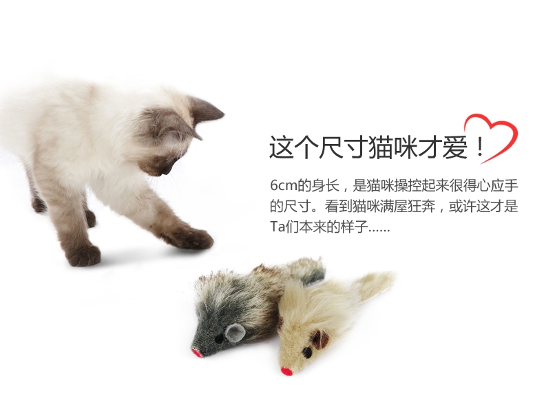 shopimgFile1537438717.jpg