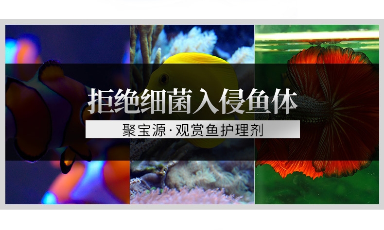 聚宝源 观赏鱼护理剂500ml