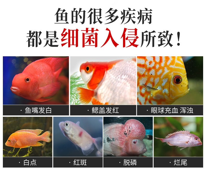 聚宝源 观赏鱼护理剂500ml