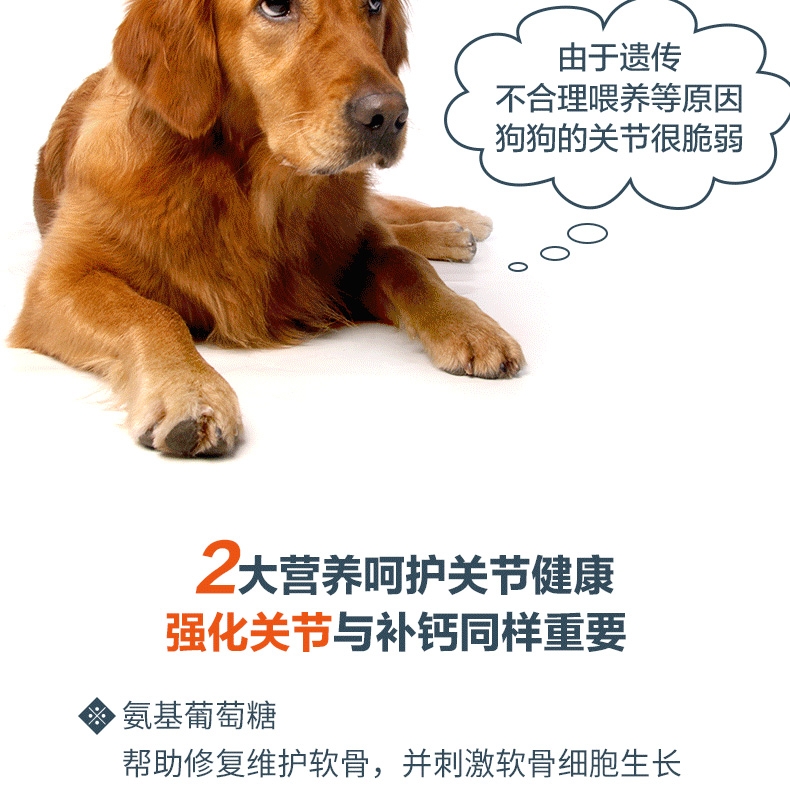 盖夫 猫狗宠物综合营养钙160片/瓶(精装版) 强健骨骼养护关节保健钙片