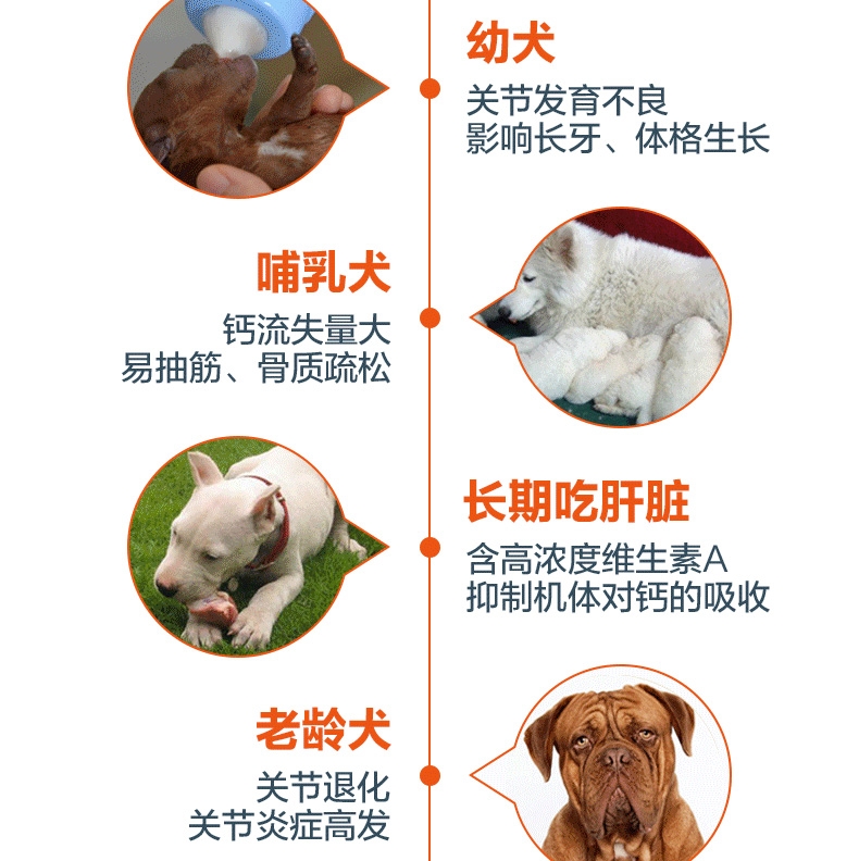 盖夫 猫狗宠物综合营养钙160片/瓶(精装版) 强健骨骼养护关节保健钙片